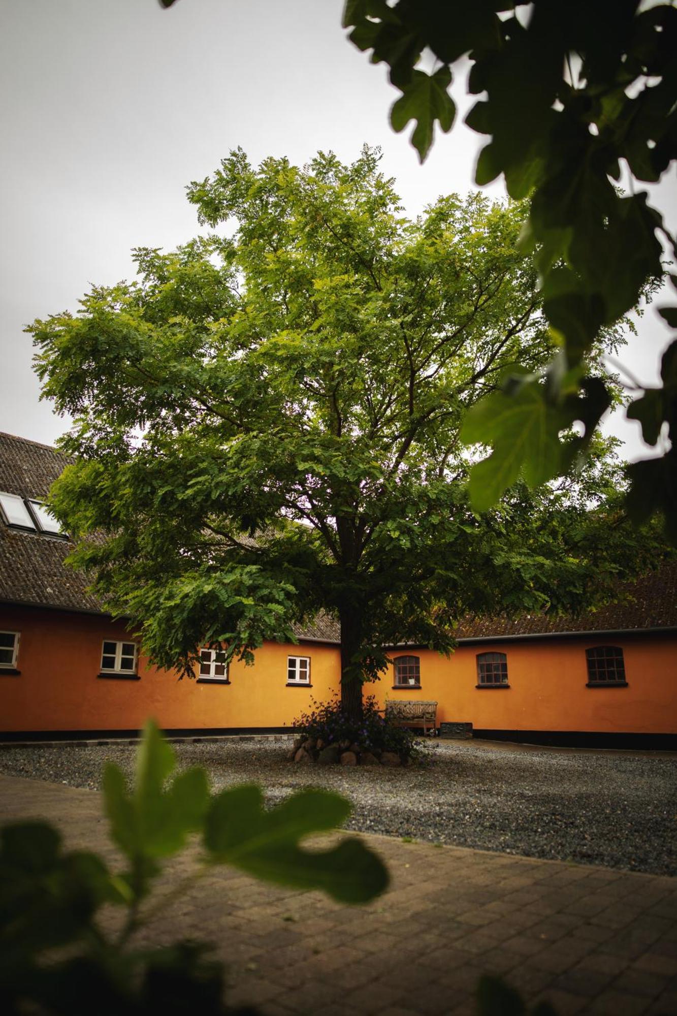 Akaciegaarden Bed & Breakfast Harlev  Eksteriør bilde